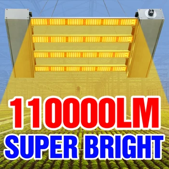 110V לגדול אור LED הידרופוניקה גידול מערכת פיטו המנורה מקורה ספקטרום מלא 2000W 3000W 4000W 5000W פרח לצמח לגדול הנורה
