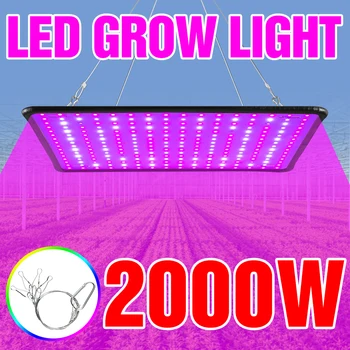 LED לגדול אור 2000W פיטו לגדול המנורה 2835 נוריות Phytolamp על צמיחת הצמחים תאורת ספקטרום מלא קוונטית לוח הצמח מקורה